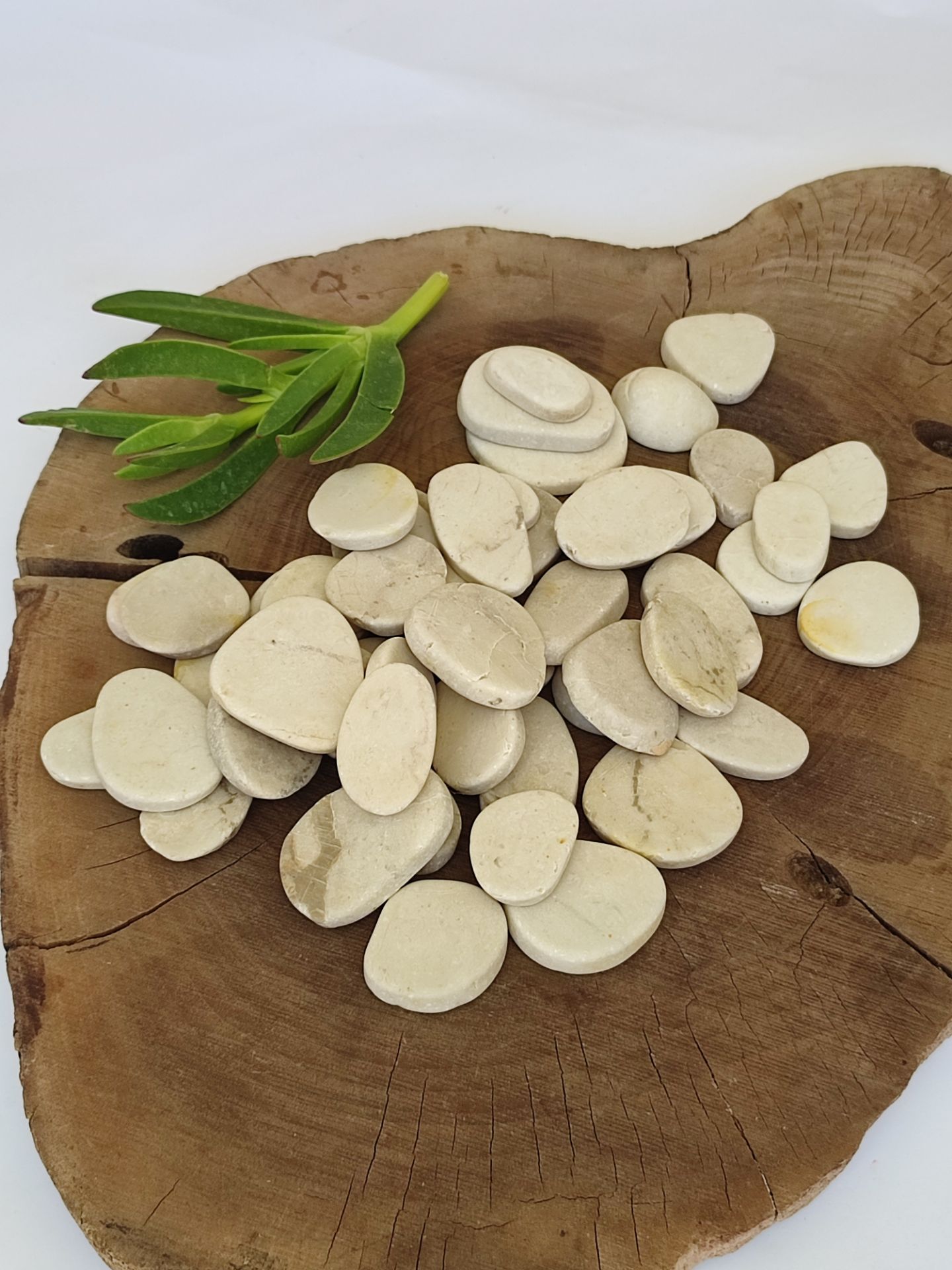 عقیق M-0100